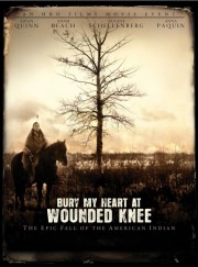 watch Bury My Heart at Wounded Knee movies free online