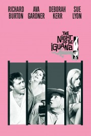 watch The Night of the Iguana movies free online