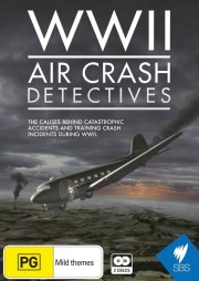 watch WWII Air Crash Detectives movies free online