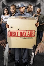 watch Next Day Air movies free online