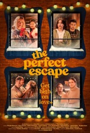 watch The Perfect Escape movies free online