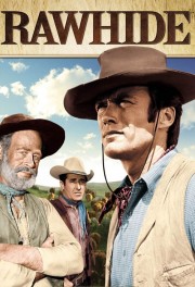 watch Rawhide movies free online