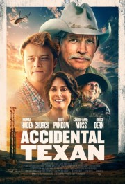 watch Accidental Texan movies free online