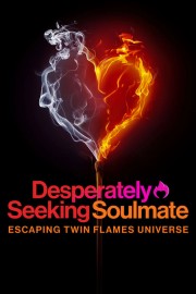 watch Desperately Seeking Soulmate: Escaping Twin Flames Universe movies free online