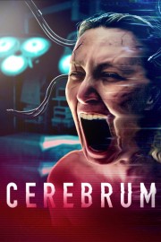 watch Cerebrum movies free online