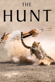 watch The Hunt movies free online