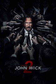 watch John Wick: Chapter 2 movies free online