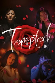 watch Tempted movies free online