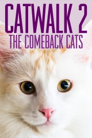 watch Catwalk 2: The Comeback Cats movies free online