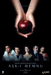 watch Forbidden Love movies free online