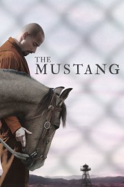 watch The Mustang movies free online