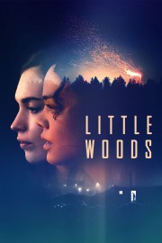 watch Little Woods movies free online