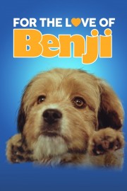 watch For the Love of Benji movies free online