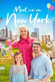 watch Meet Me in New York movies free online