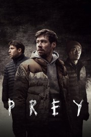 watch Prey movies free online