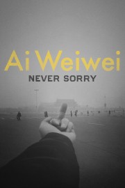 watch Ai Weiwei: Never Sorry movies free online