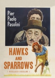 watch Hawks and Sparrows movies free online