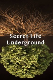 watch Secret Life Underground movies free online