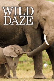 watch Wild Daze movies free online