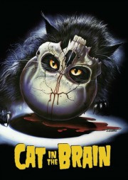 watch A Cat in the Brain movies free online