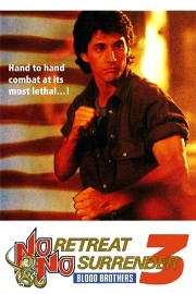 watch No Retreat, No Surrender 3: Blood Brothers movies free online