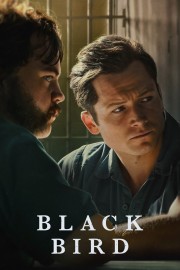 watch Black Bird movies free online